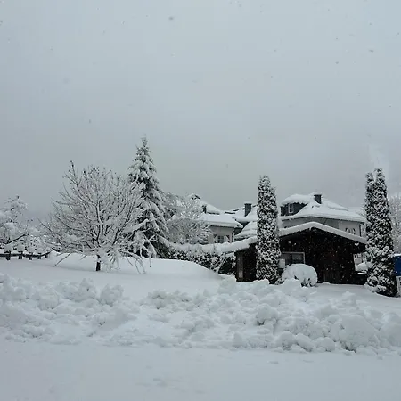 Monika, Cozy B&b, Newly Renovated In